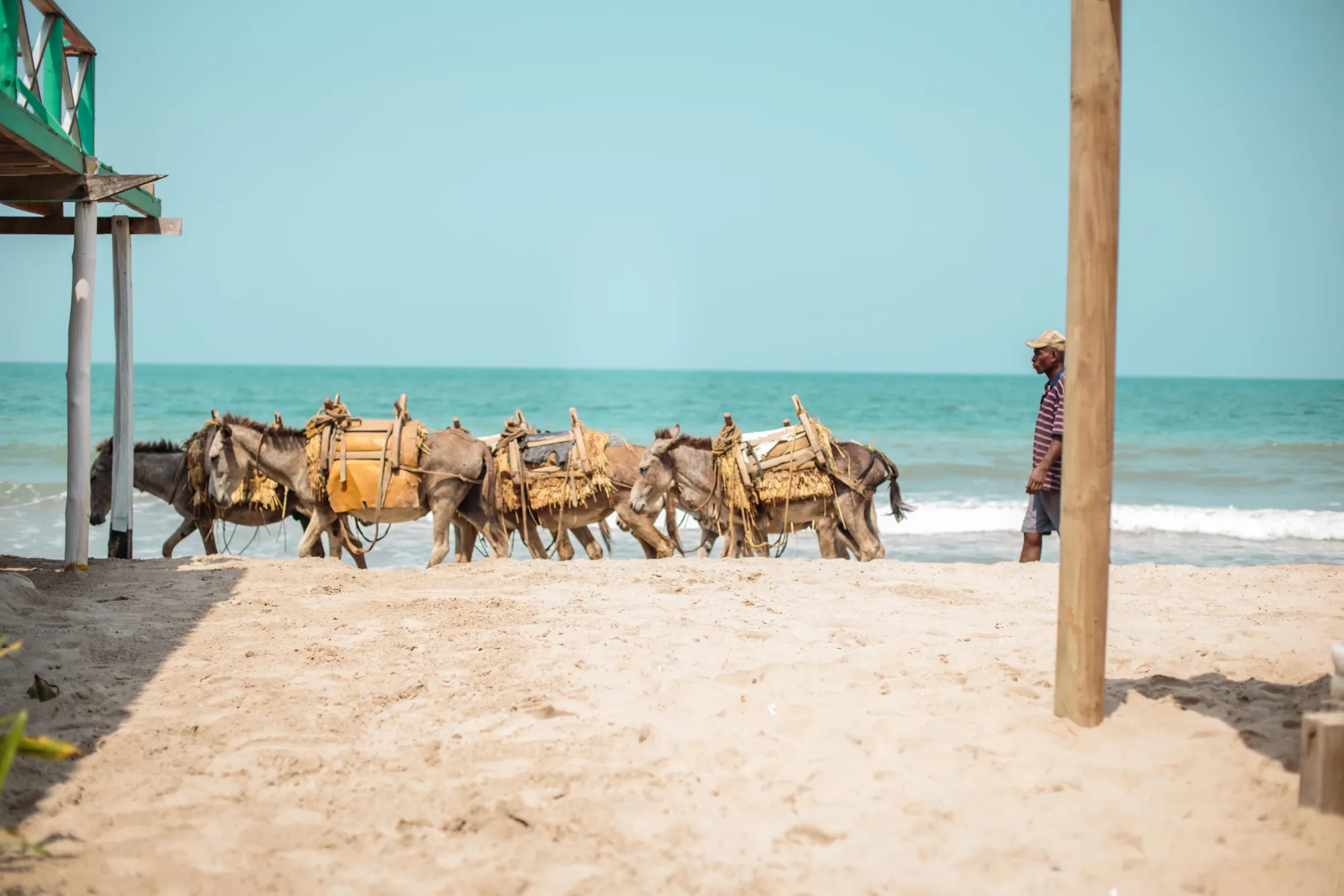 Horse riding on Isla Tierra Bomba